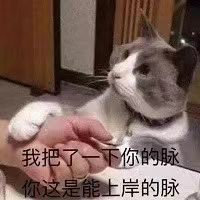 一建成绩还不出？你想让我秃吗朋友？